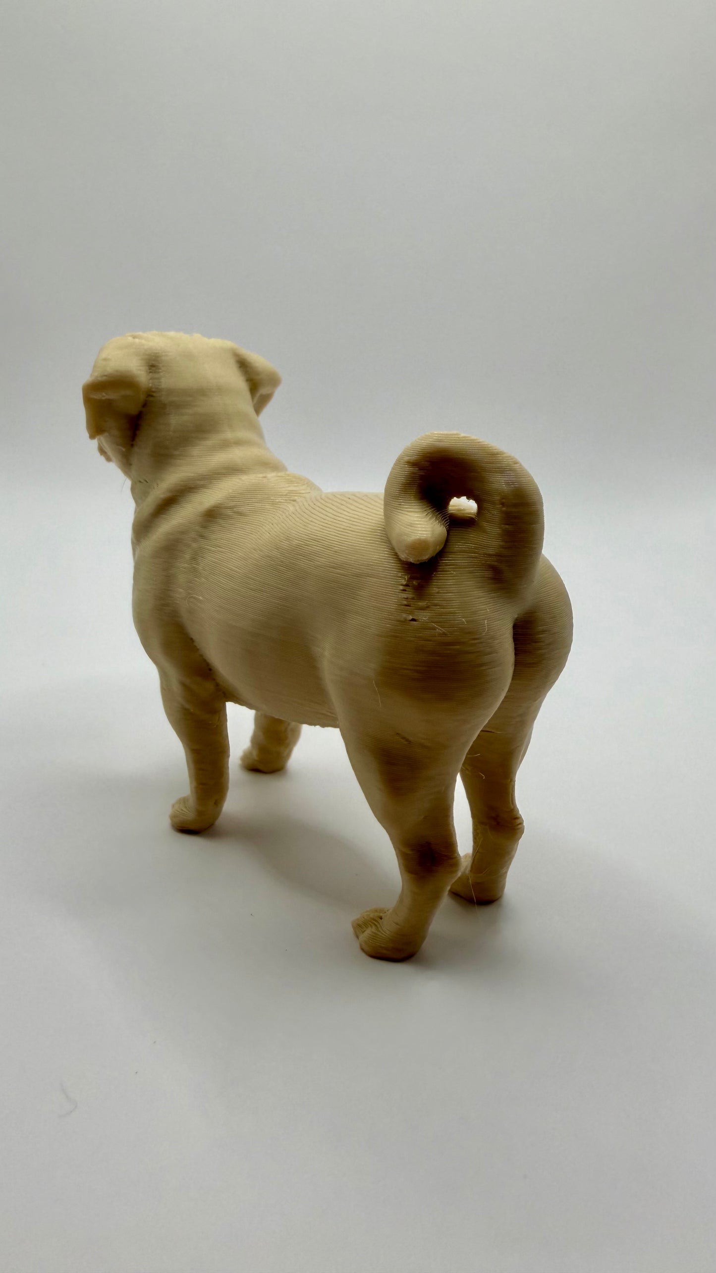 Pug