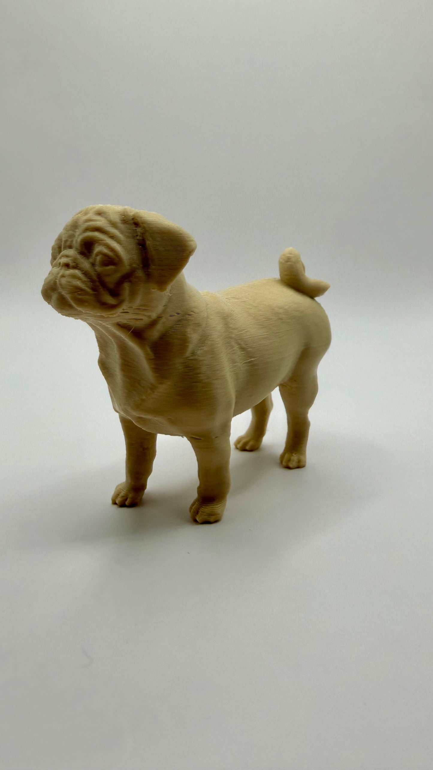 Pug
